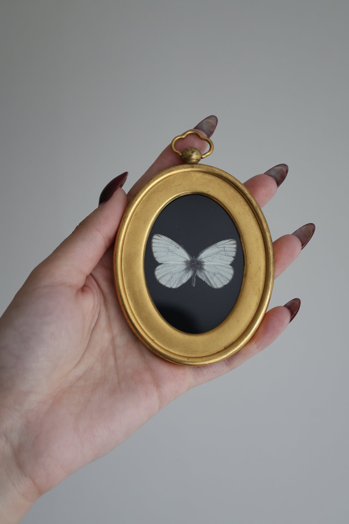Tiny White Butterfly in Gold Frame