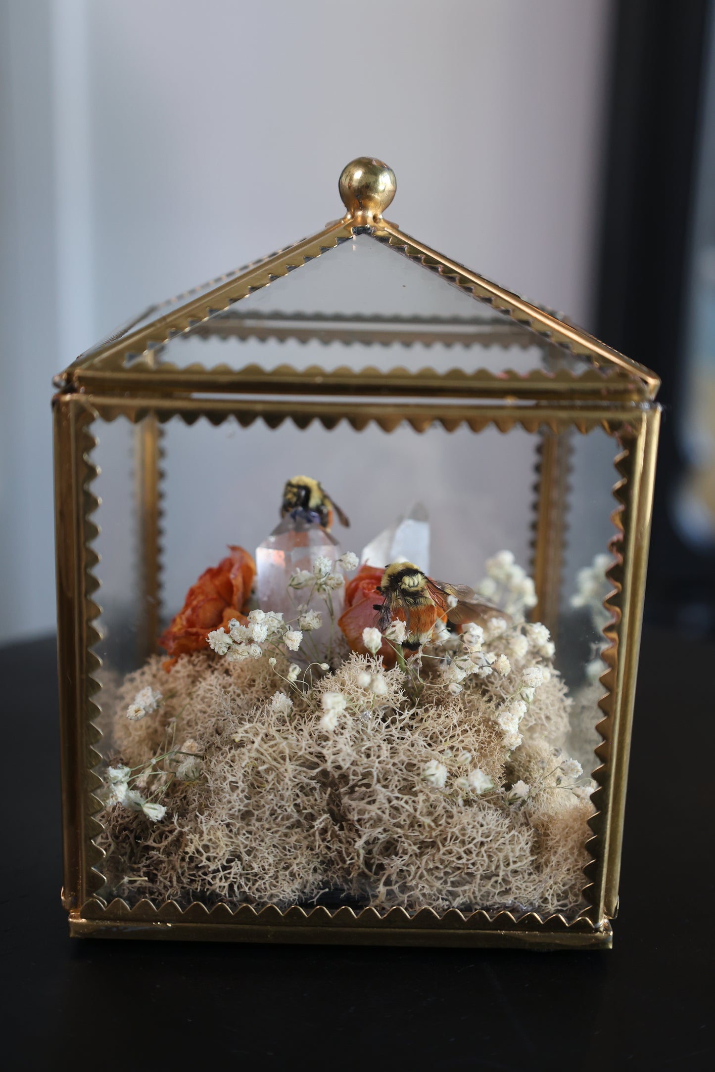Honey Bee Small Terrarium