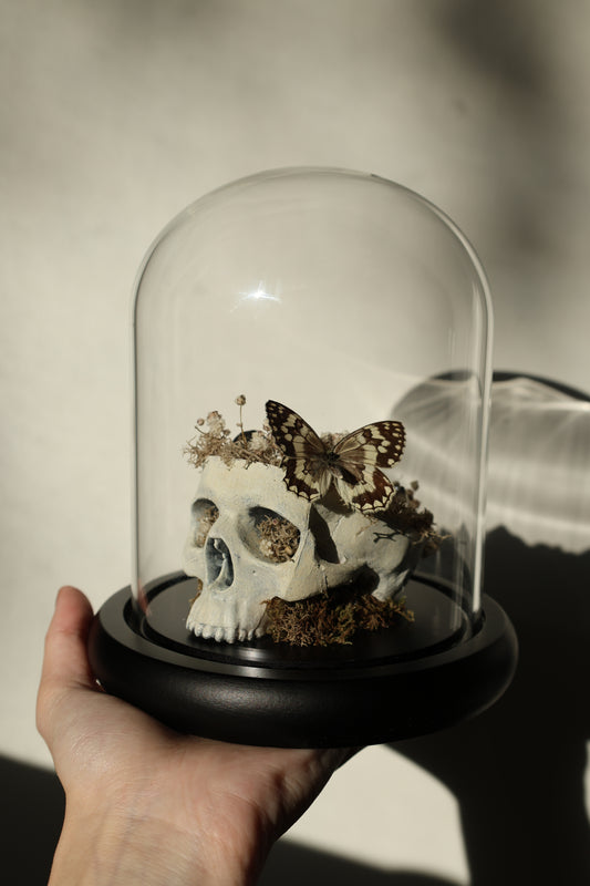 Skull Butterfly Dome