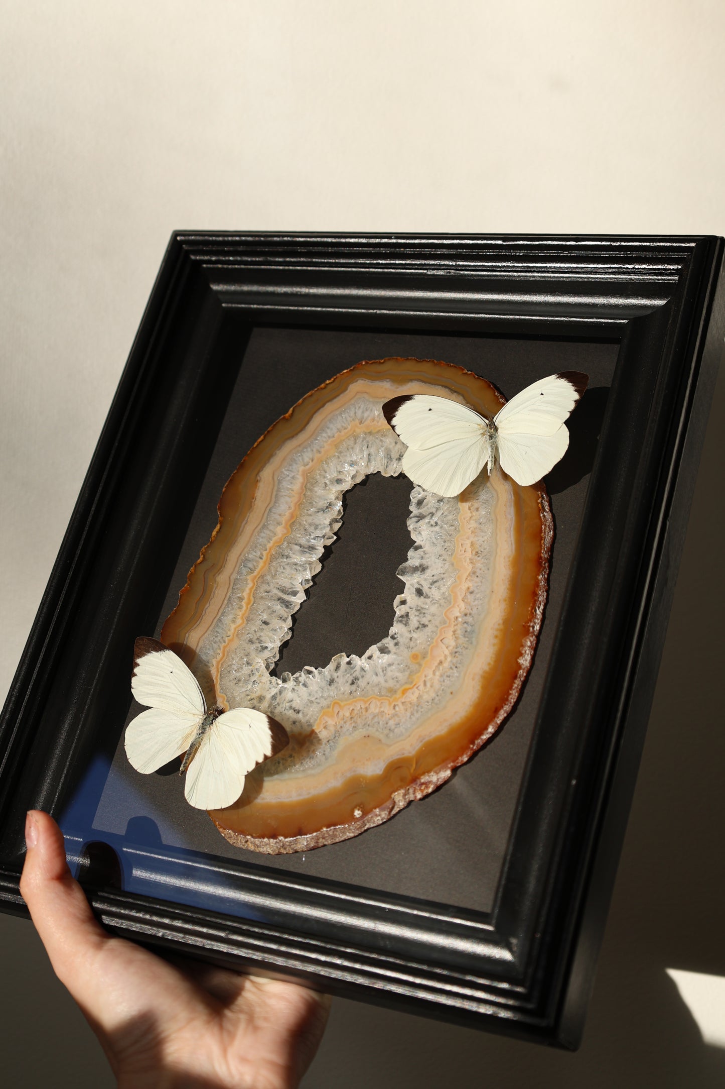 Giant Agate Butterfly Frame