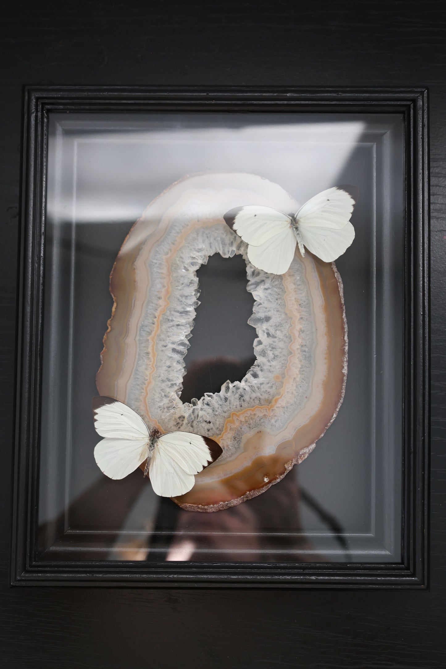 Giant Agate Butterfly Frame