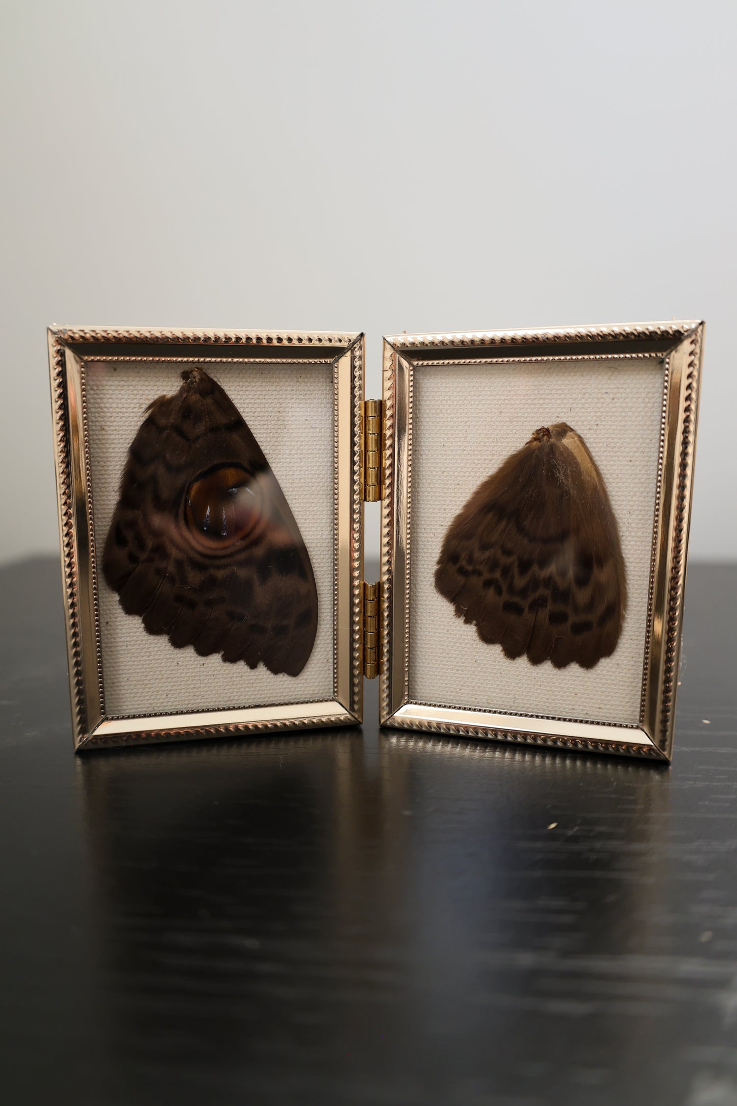 Antique Brass Pocket Frame(s)