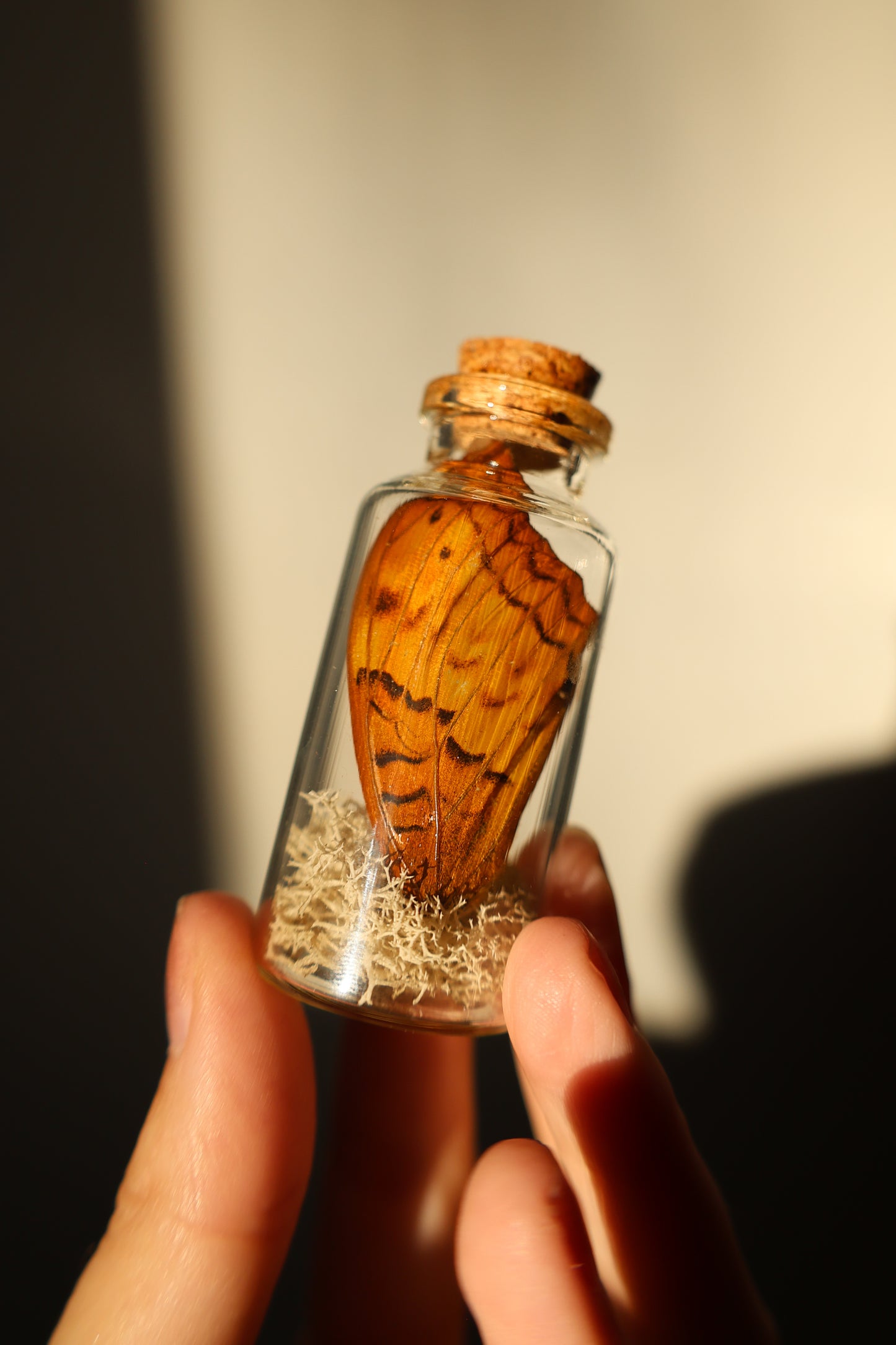 Mini Jar with Wing