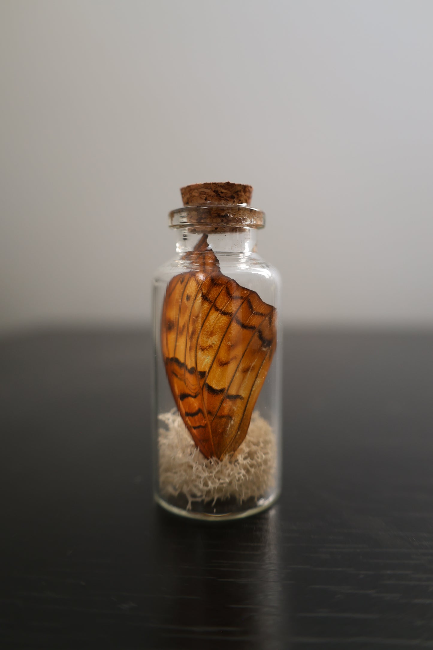 Mini Jar with Wing