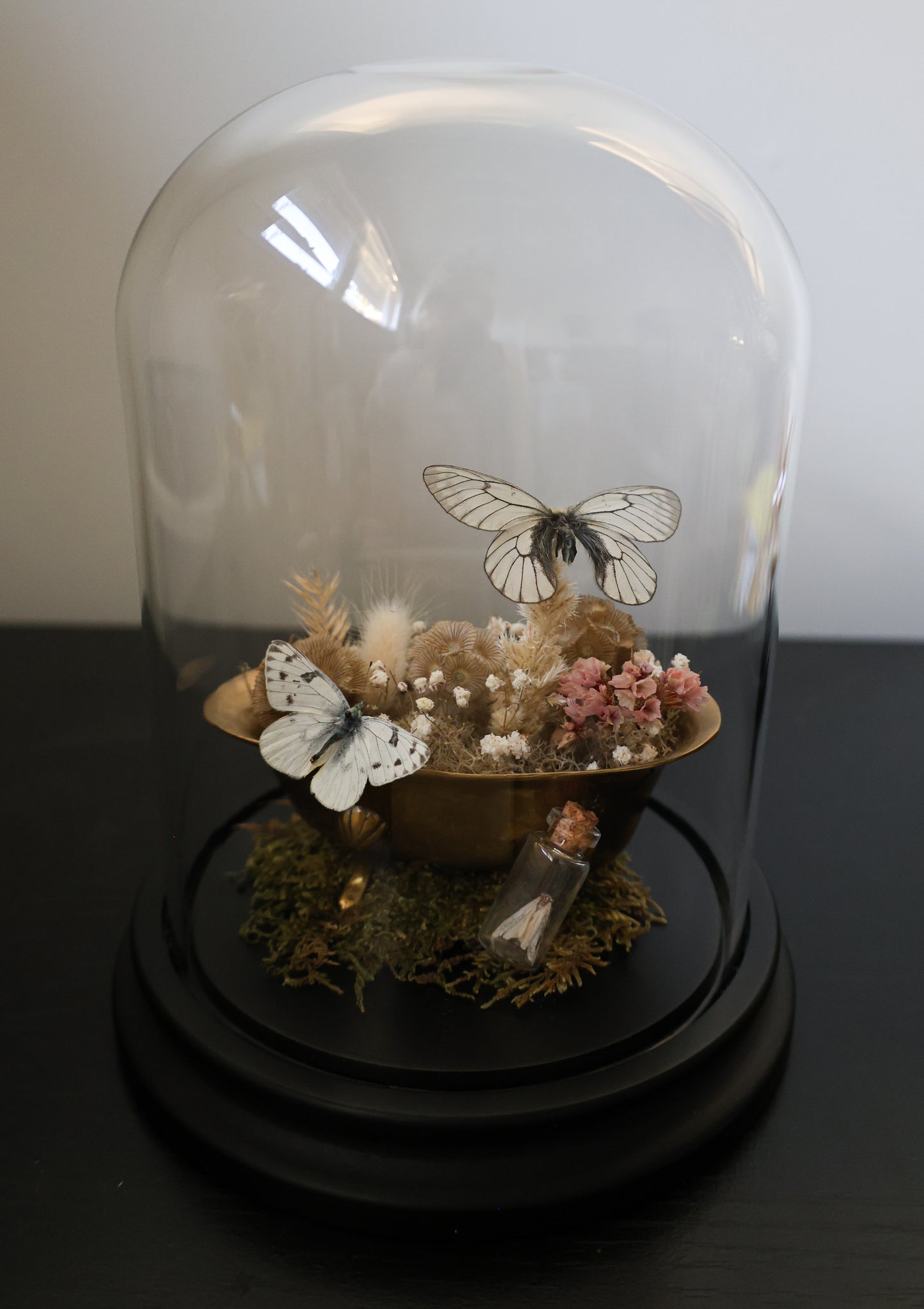 Brass Bathtub Butterfly Dome